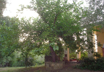 Bed And Breakfast Villa Calagioli